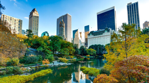 Preserving Central Park,  Manhattan’s Urban Oasis